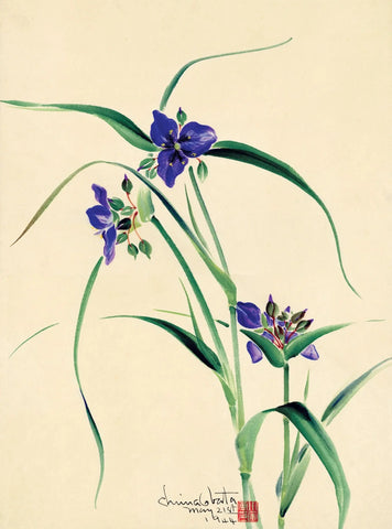 {{ product_title }} Fine Art Print | {{ product_vendor }} Jakero77 Chiura Obata - Watercolor of Purple Flowers (1944) - 17" x 22" Fine Art Print Art Print  Jakero77