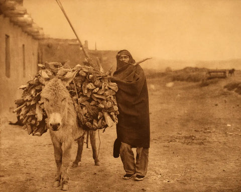 {{ product_title }} Fine Art Print | {{ product_vendor }} Jakero77 Edward Curtis - Load of Fuel Donkey Zuni Indian (1903) - 17" x 22" Fine Art Print Art Print  Jakero77