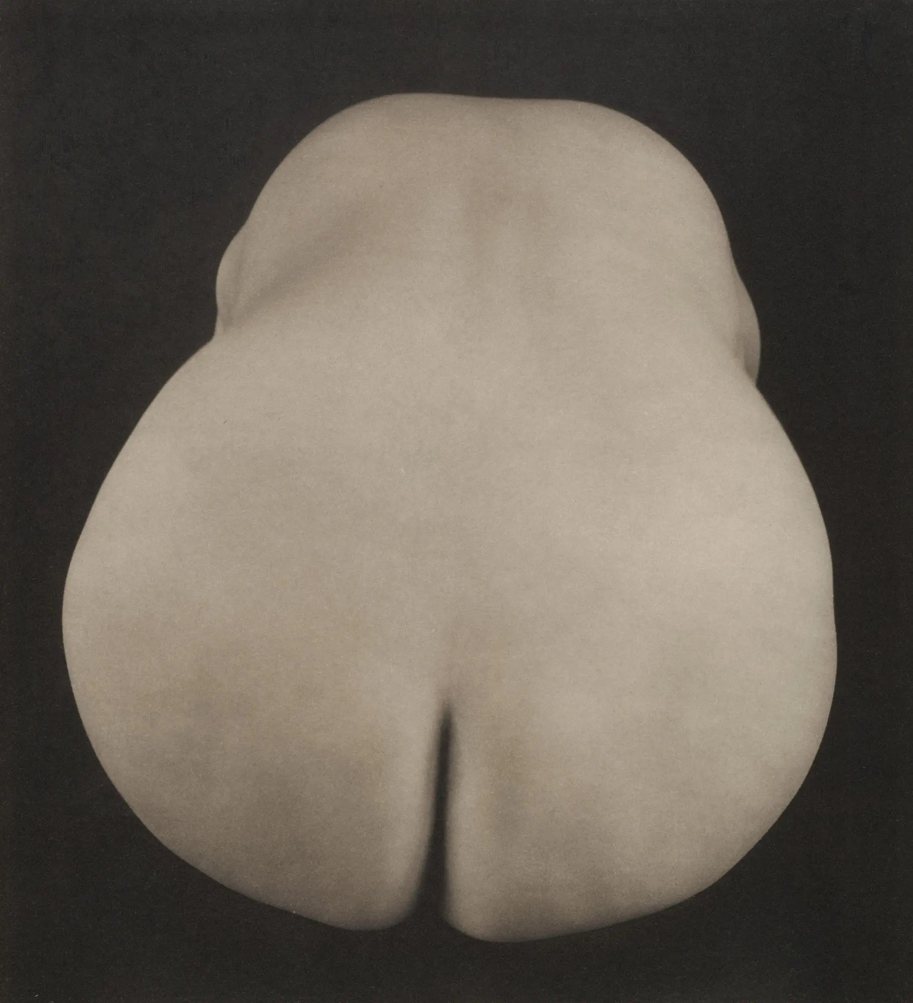 {{ product_title }} Fine Art Print | {{ product_vendor }} Jakero77 Edward Weston - Artistic Nude, Mexico (1925) - 17" x 22" Fine Art Print Art Print  Jakero77