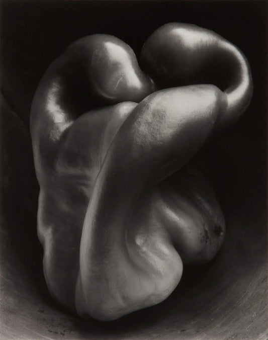 {{ product_title }} Fine Art Print | {{ product_vendor }} Jakero77 Edward Weston - Pepper No. 30 (1930) Green Pepper - 17" x 22" Fine Art Print Art Print  Jakero77
