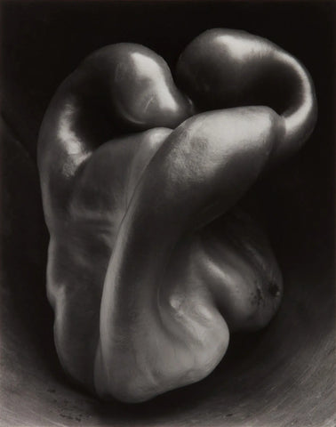 {{ product_title }} Fine Art Print | {{ product_vendor }} Jakero77 Edward Weston - Pepper No. 30 (1930) Green Pepper - 17" x 22" Fine Art Print Art Print  Jakero77