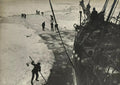 {{ product_title }} Fine Art Print | {{ product_vendor }} Jakero77 Ernest Shackleton Antarctica Expedition Endurance Ship (1915) - 17"x22" Art Print Art Print  Jakero77