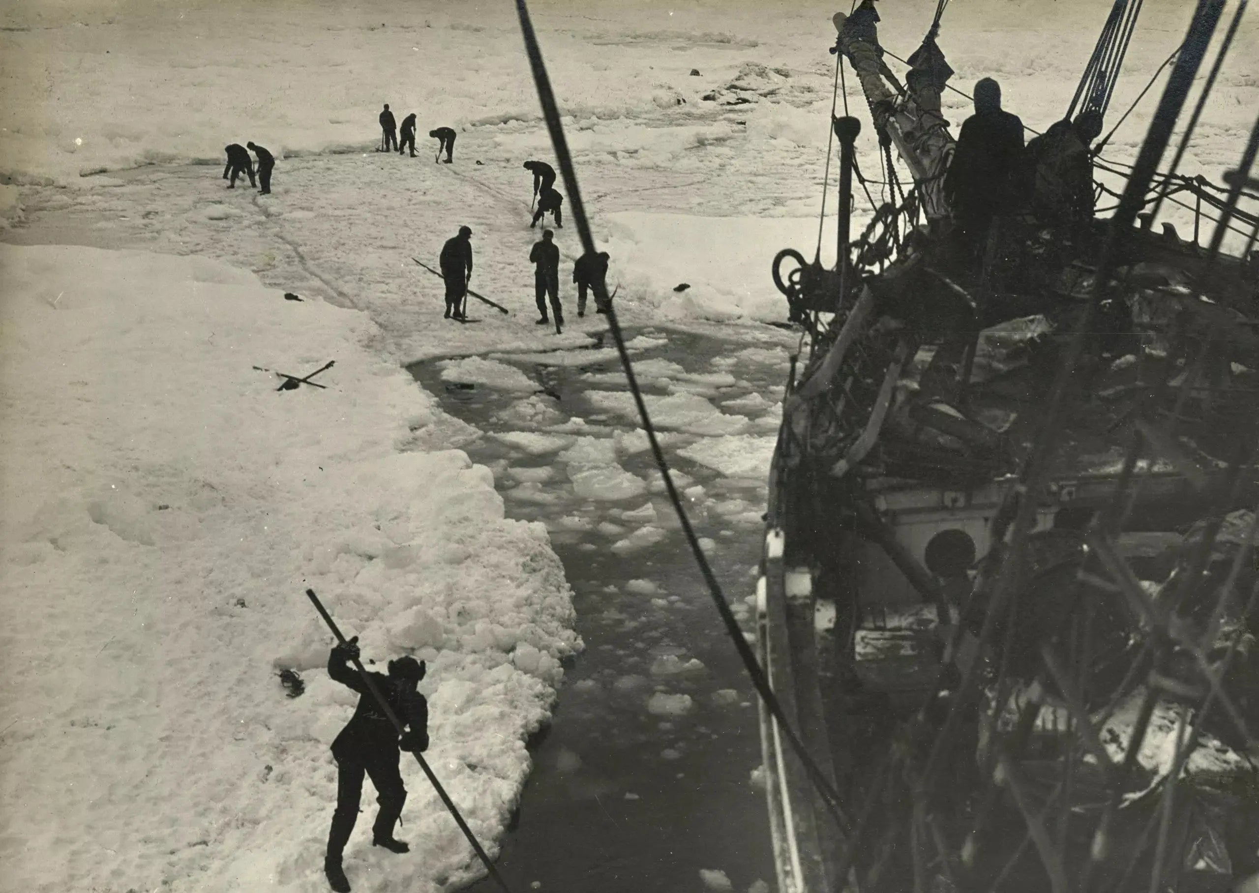 {{ product_title }} Fine Art Print | {{ product_vendor }} Jakero77 Ernest Shackleton Antarctica Expedition Endurance Ship (1915) - 17"x22" Art Print Art Print  Jakero77