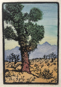 {{ product_title }} Fine Art Print | {{ product_vendor }} Jakero77 Frances H. Gearhart - Joshua Tree (1925-30) - 17" x 22" Fine Art Print Art Print  Jakero77