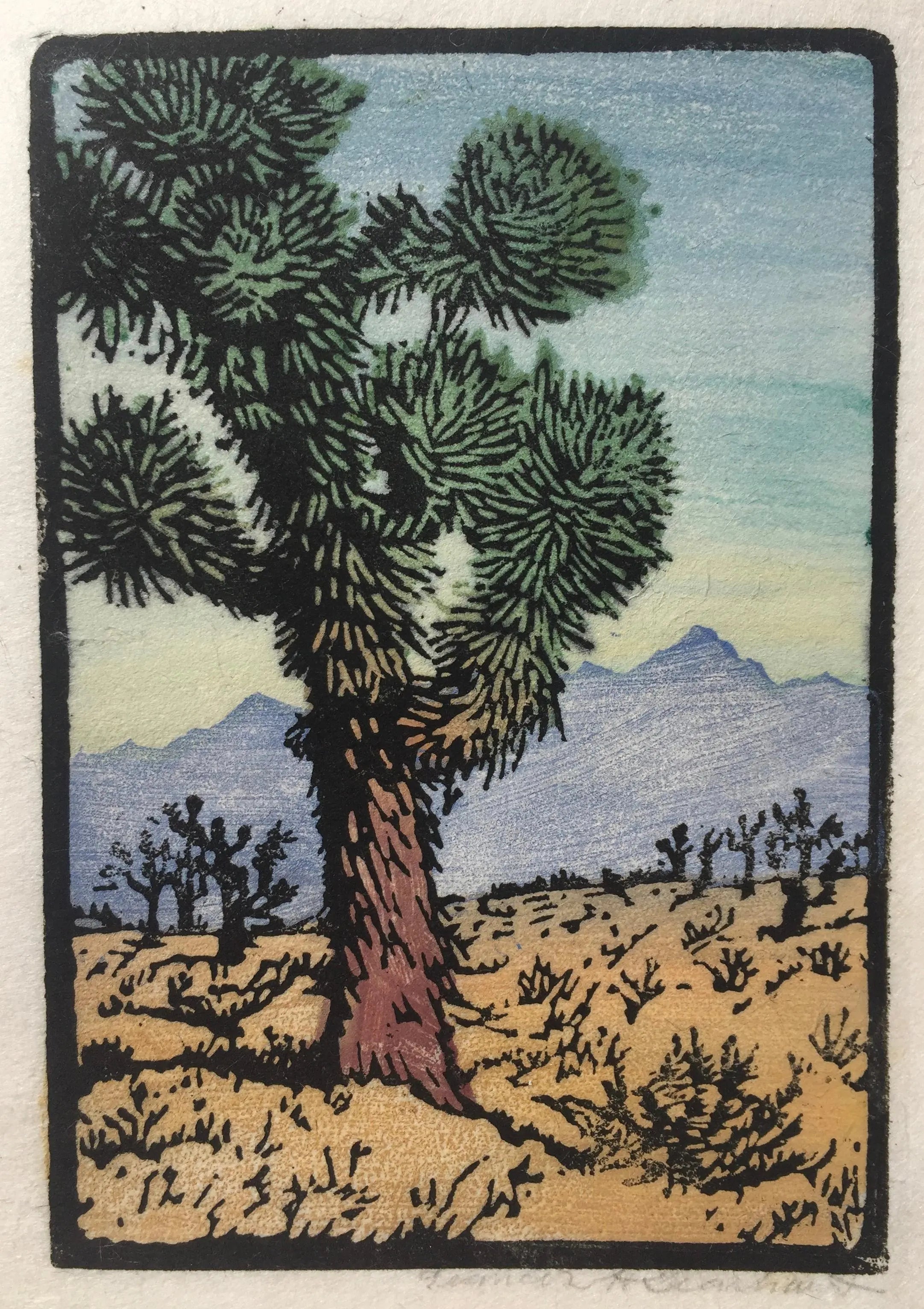 {{ product_title }} Fine Art Print | {{ product_vendor }} Jakero77 Frances H. Gearhart - Joshua Tree (1925-30) - 17" x 22" Fine Art Print Art Print  Jakero77