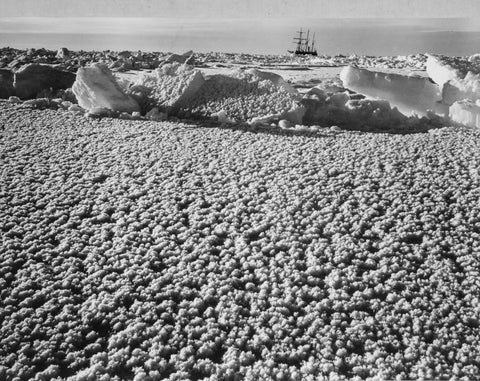 {{ product_title }} Fine Art Print | {{ product_vendor }} Jakero77 Frank Hurley - Ice Flowers Form Near Endurance Ship Antarctica (1914) - 17"x22" Fine Art Print Art Print  Jakero77