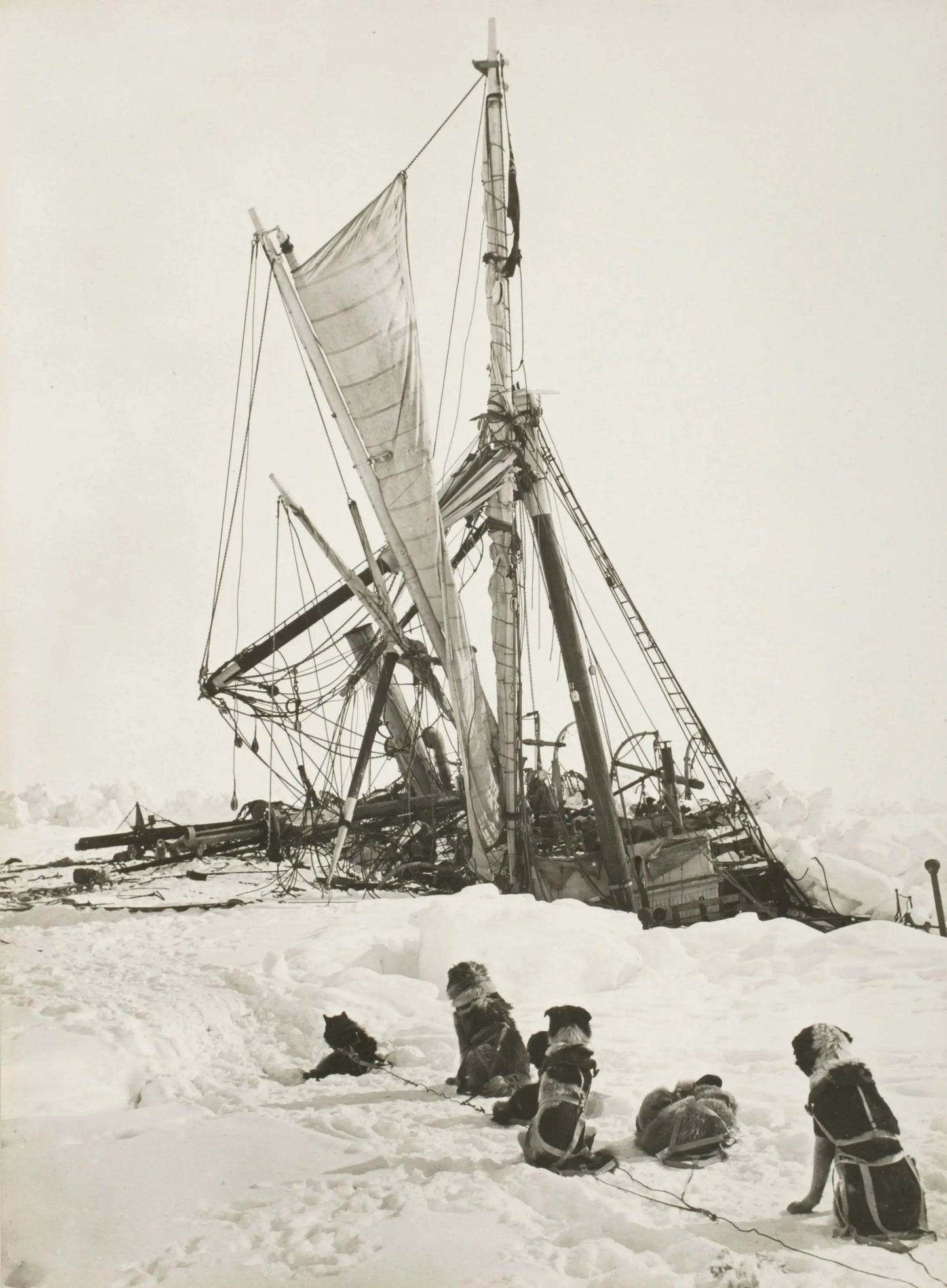 {{ product_title }} Fine Art Print | {{ product_vendor }} Jakero77 Frank Hurley - Sled Dogs @ Wrecked Endurance Ship Antarctica (1915) - 17" x 22" Fine Art Print Art Print  Jakero77