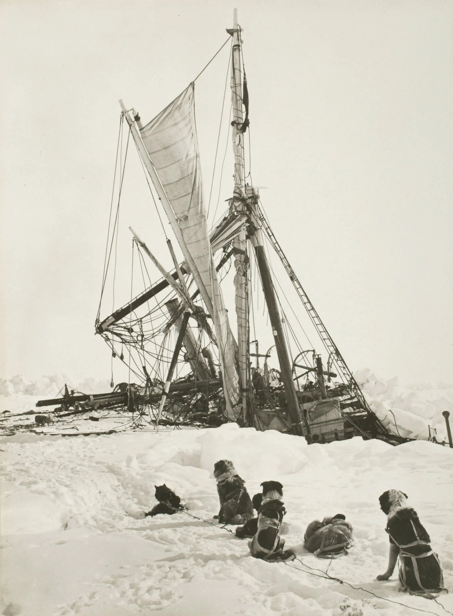{{ product_title }} Fine Art Print | {{ product_vendor }} Jakero77 Frank Hurley - Sled Dogs @ Wrecked Endurance Ship Antarctica (1915) - 17" x 22" Fine Art Print Art Print  Jakero77