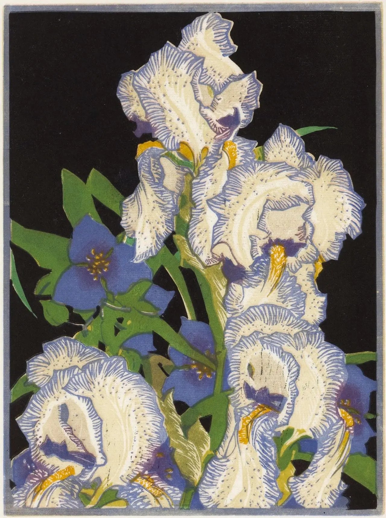 {{ product_title }} Fine Art Print | {{ product_vendor }} Jakero77 Franklin Carmichael - Pencilled Irises (1932) - 17" x 22" Fine Art Print Art Print  Jakero77