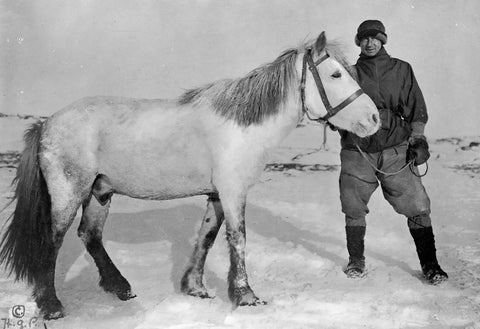 {{ product_title }} Fine Art Print | {{ product_vendor }} Jakero77 Herbert Ponting - Dr. Edward Wilson & Nobby the Pony, Antarctica (1911) - 17"x22" Fine Art Print Art Print  Jakero77