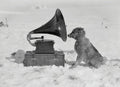 {{ product_title }} Fine Art Print | {{ product_vendor }} Jakero77 Herbert Ponting - Sled Dog Listens to Gramophone Antarctica (1911) - 17"x22" Print Art Print  Jakero77