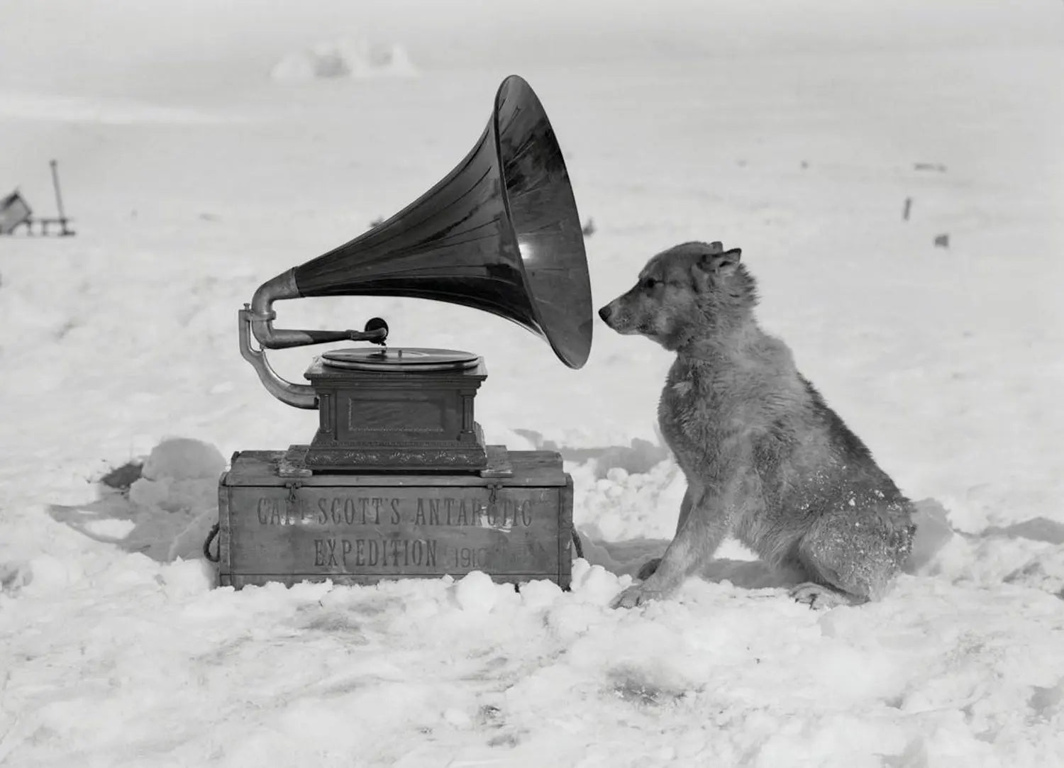 {{ product_title }} Fine Art Print | {{ product_vendor }} Jakero77 Herbert Ponting - Sled Dog Listens to Gramophone Antarctica (1911) - 17"x22" Print Art Print  Jakero77