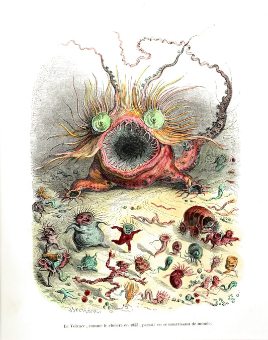 {{ product_title }} Fine Art Print | {{ product_vendor }} Jakero77 J.J. Grandville - The Monster Illustration COLOR (1842) - 17"x22" Fine Art Print Art Print  Jakero77