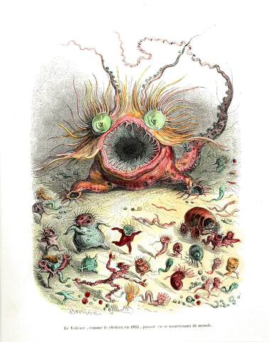 {{ product_title }} Fine Art Print | {{ product_vendor }} Jakero77 J.J. Grandville - The Monster Illustration COLOR (1842) - 17"x22" Fine Art Print Art Print  Jakero77