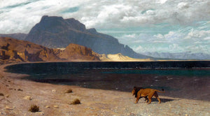 {{ product_title }} Fine Art Print | {{ product_vendor }} Jakero77 Jean Leon Gerome - Quaerens Quem Devoret (1888) Lion - 17" x 22" Fine Art Print Art Print  Jakero77