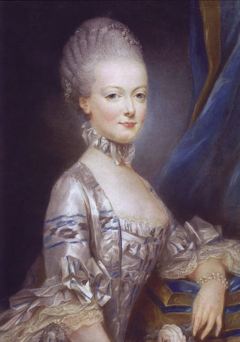 {{ product_title }} Fine Art Print | {{ product_vendor }} Jakero77 Joseph Ducreux - Archduchess Maria Antonia of Austria (1769) - 17" x 22" Art Print Art Print  Jakero77