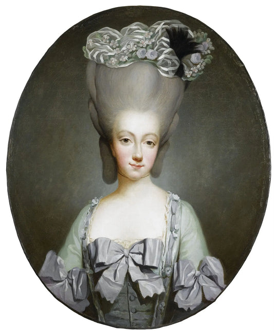 {{ product_title }} Fine Art Print | {{ product_vendor }} Jakero77 Joseph Ducreux - Portrait of Princess Maria Theresa Countess of Savoy (1775) - 17"x22" Fine Art Print Art Print  Jakero77