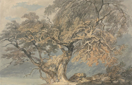 {{ product_title }} Fine Art Print | {{ product_vendor }} Jakero77 Joseph M.W. Turner - A Great Tree (1796) Romanticism - 17" x 22" Fine Art Print Art Print  Jakero77