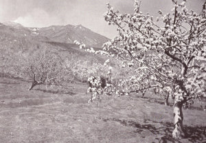 {{ product_title }} Fine Art Print | {{ product_vendor }} Jakero77 Karl Grober - Trip to Sicily, Italy (1924) Landscape - 17" x 22" Fine Art Print Art Print  Jakero77
