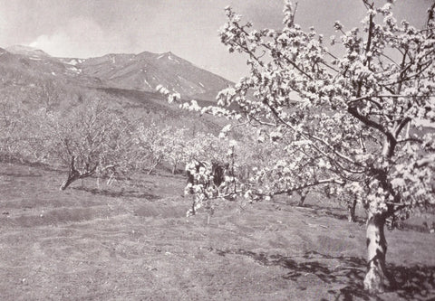 {{ product_title }} Fine Art Print | {{ product_vendor }} Jakero77 Karl Grober - Trip to Sicily, Italy (1924) Landscape - 17" x 22" Fine Art Print Art Print  Jakero77