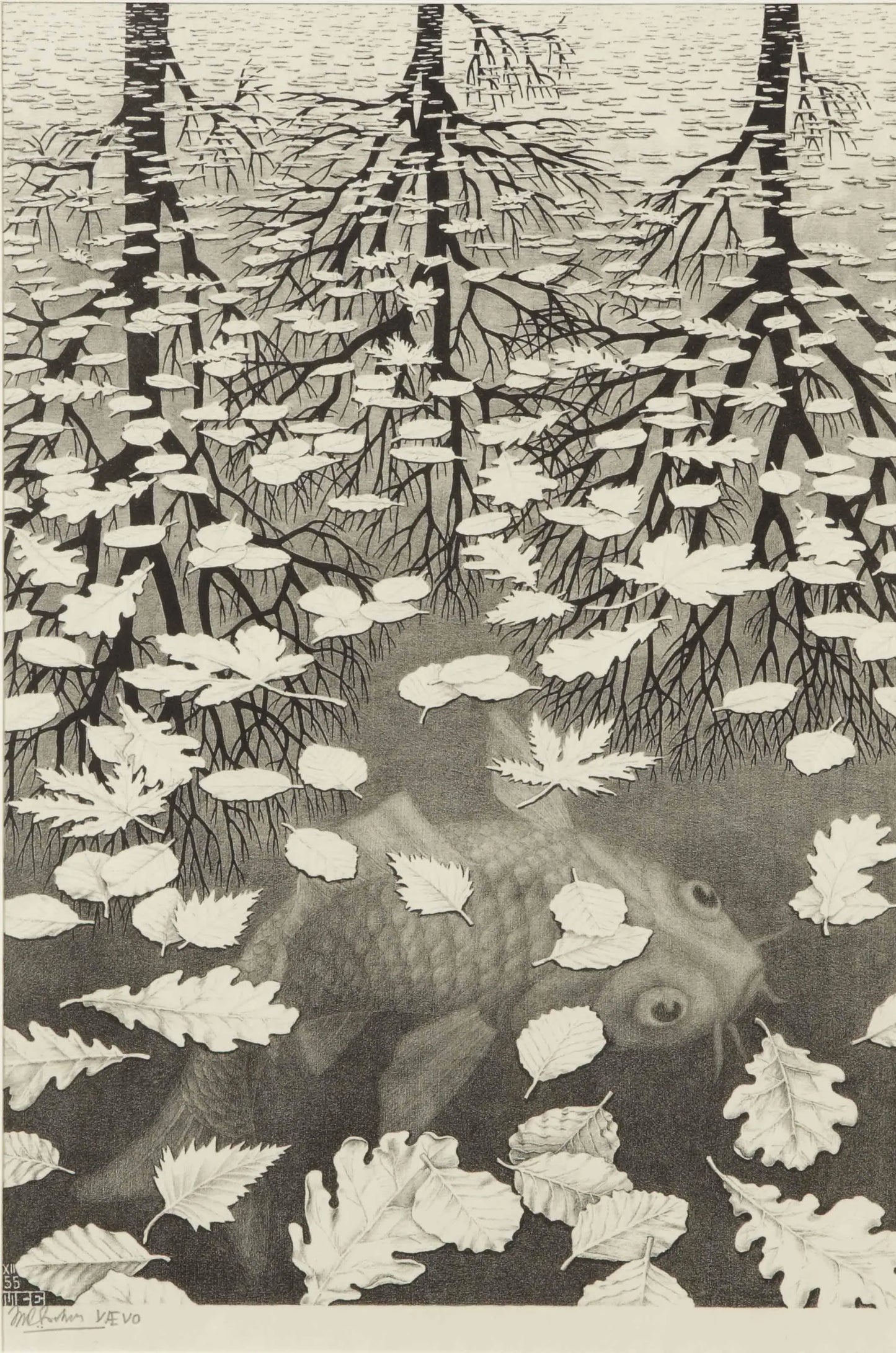 {{ product_title }} Fine Art Print | {{ product_vendor }} Jakero77 M. C. Escher - Three Worlds Signed - 17" x 22" Fine Art Print Art Print  Jakero77