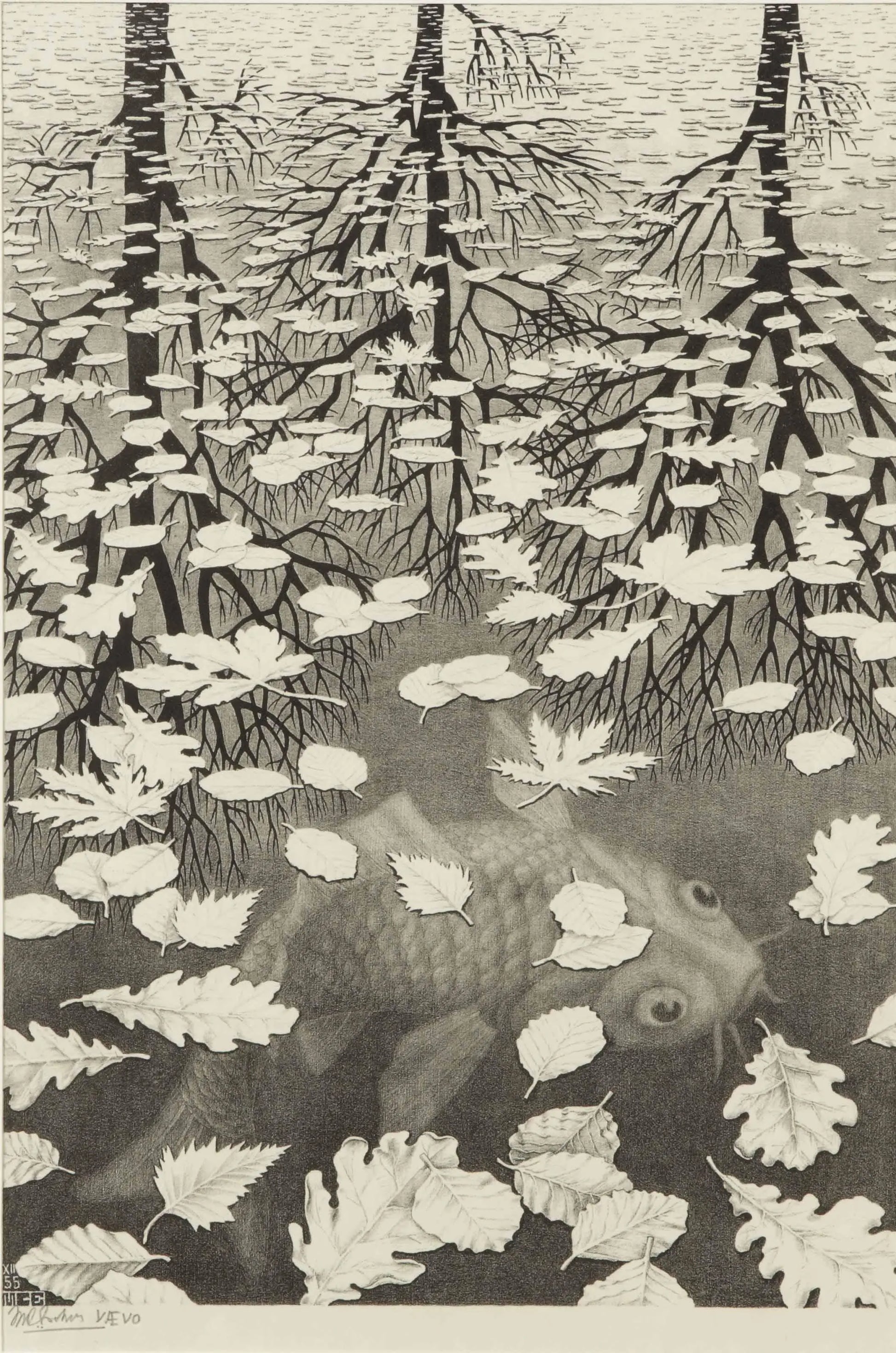 {{ product_title }} Fine Art Print | {{ product_vendor }} Jakero77 M. C. Escher - Three Worlds Signed - 17" x 22" Fine Art Print Art Print  Jakero77