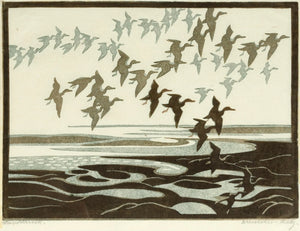 {{ product_title }} Fine Art Print | {{ product_vendor }} Jakero77 Norbertine Bresslern-Roth - Ducks in Flight (1927) Signed - 17"x22" Fine Art Print Art Print  Jakero77