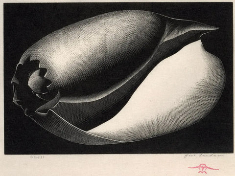 {{ product_title }} Fine Art Print | {{ product_vendor }} Jakero77 Paul Landacre - Shell (1935) Signed - 17" x 22" Fine Art Print Art Print  Jakero77