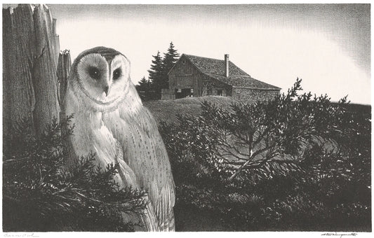 {{ product_title }} Fine Art Print | {{ product_vendor }} Jakero77 Stow Wengenroth - Barn Owl (1971) - 17" x 22" Fine Art Print Art Print  Jakero77