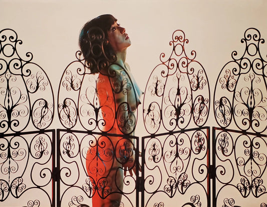 {{ product_title }} Fine Art Print | {{ product_vendor }}