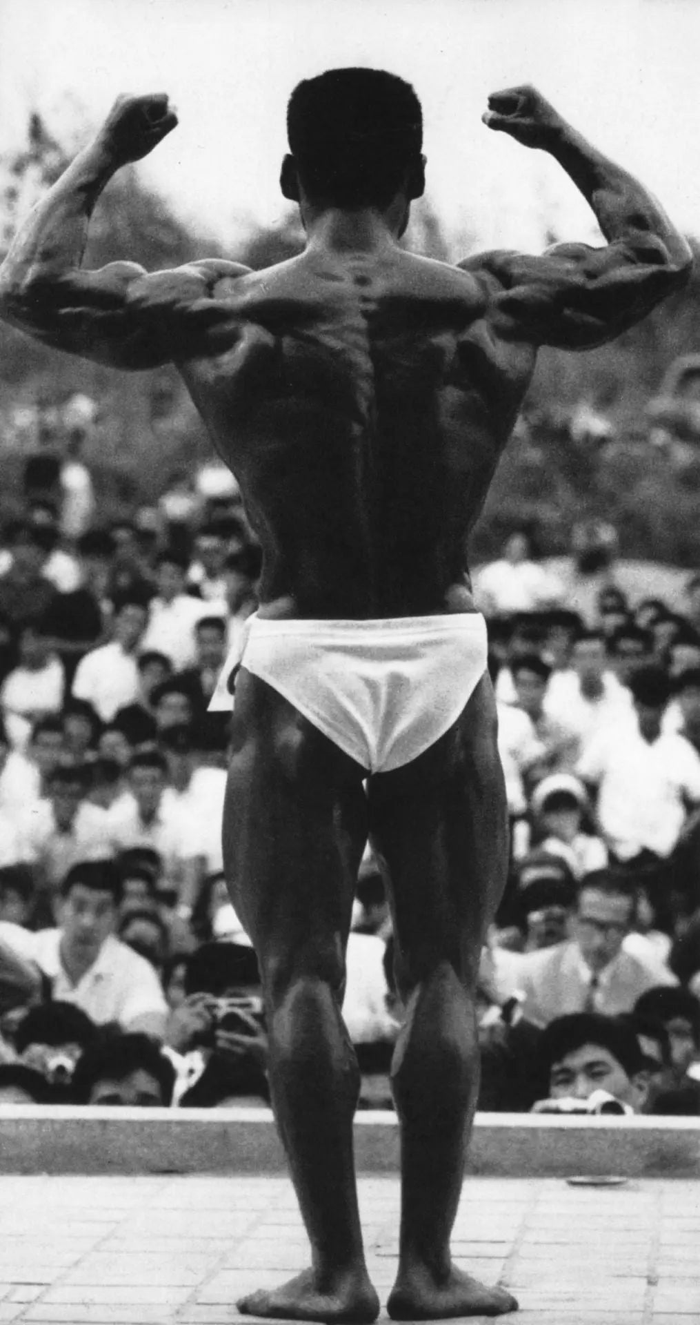 {{ product_title }} Fine Art Print | {{ product_vendor }}