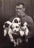 {{ product_title }} Fine Art Print | {{ product_vendor }} Jakero77 Tom Crean & Puppies on Shackleton Antarctica Expedition (1915) - 17" x 22" Print Art Print  Jakero77