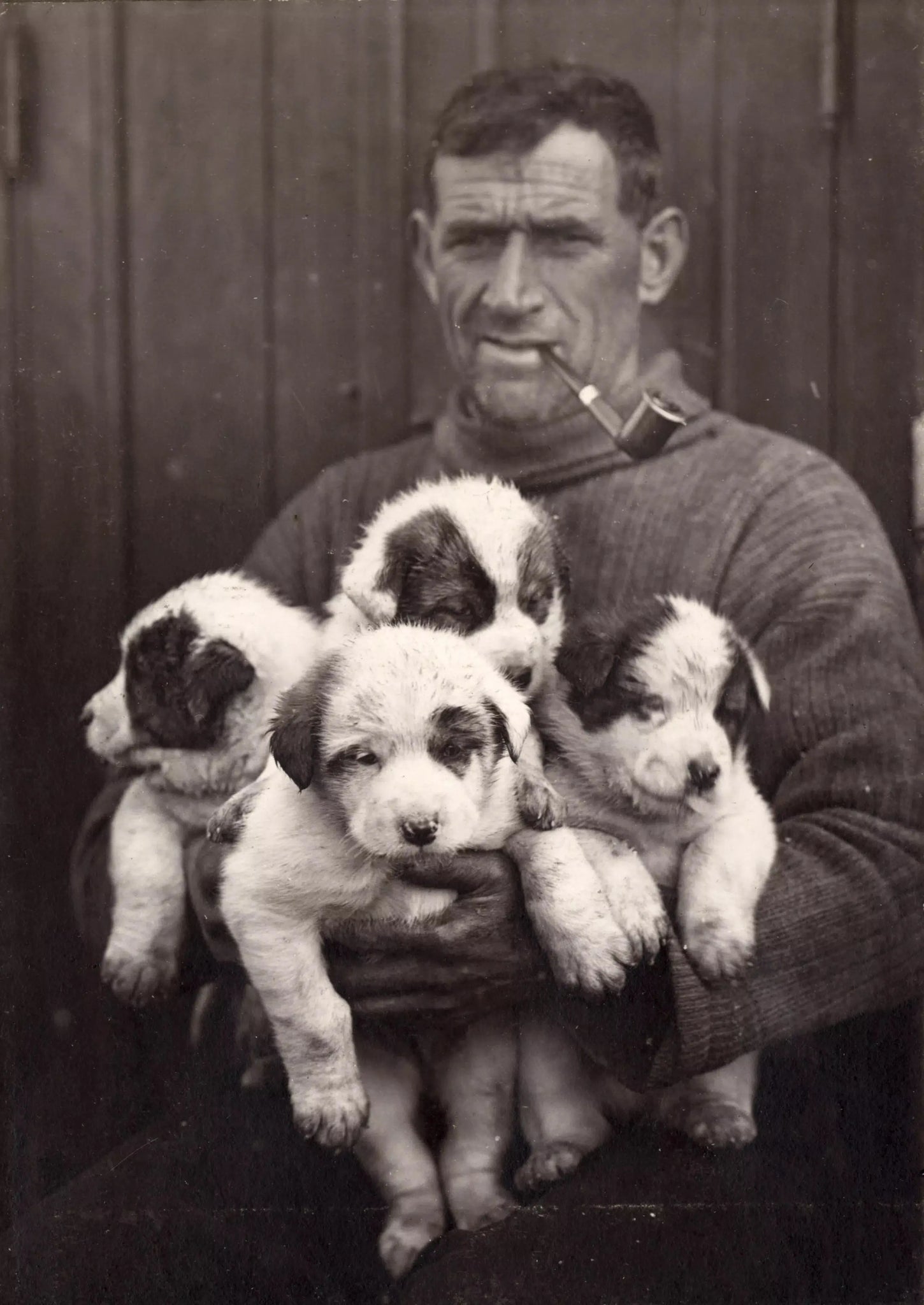 {{ product_title }} Fine Art Print | {{ product_vendor }} Jakero77 Tom Crean & Puppies on Shackleton Antarctica Expedition (1915) - 17" x 22" Print Art Print  Jakero77